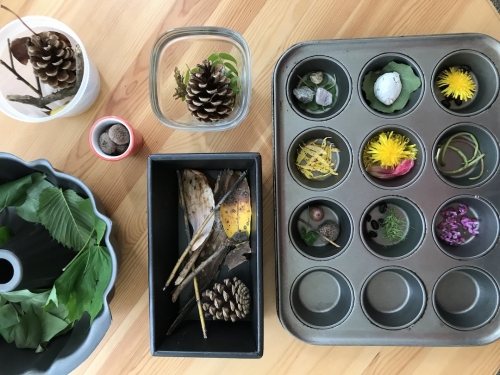 Found objects from nature such as pine cones, flowers, leaves, sticks placed in various containers.