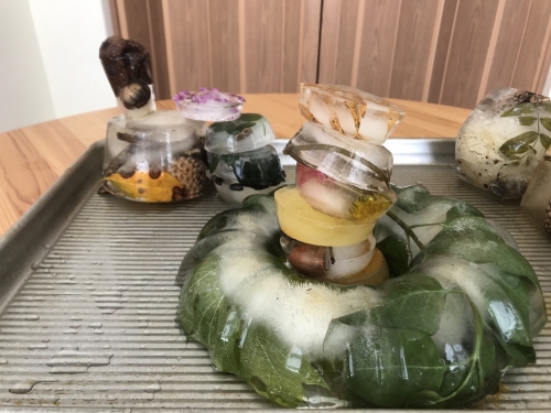 Various objects from nature, frozen in bowl-shaped ice, next to each other and stacked on top of one another.